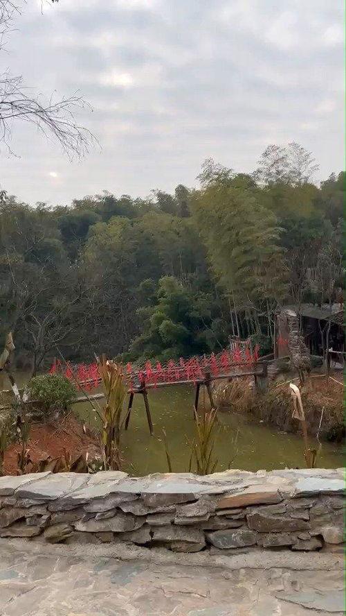 花溪新闻爆料最新,揭秘当地最新热点事件 第2张 花溪新闻爆料最新,揭秘当地最新热点事件 第2张